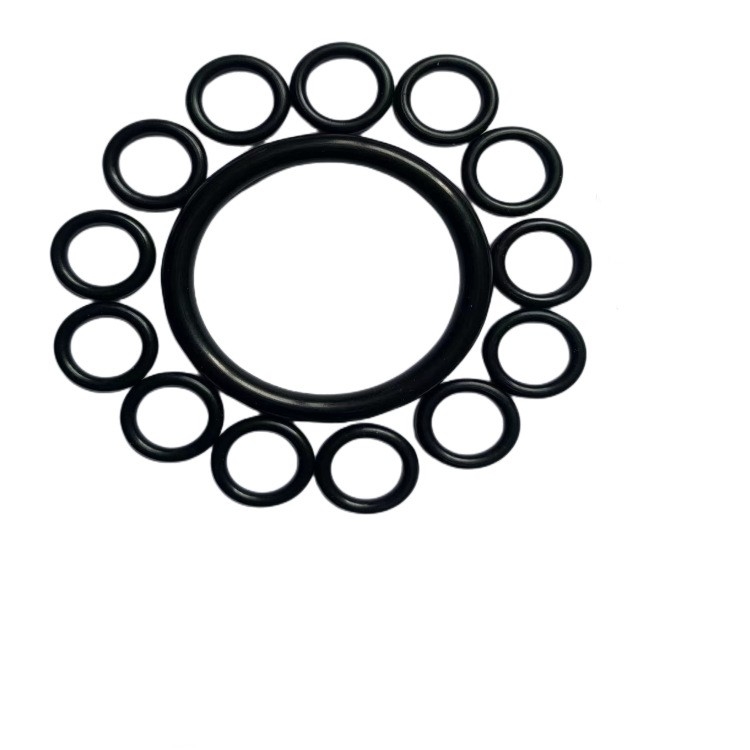 Προσαρμοσμένο FKM NBR O-ring/σφραγίδες σε διάφορα χρώματα για βιομηχανικές εφαρμογές